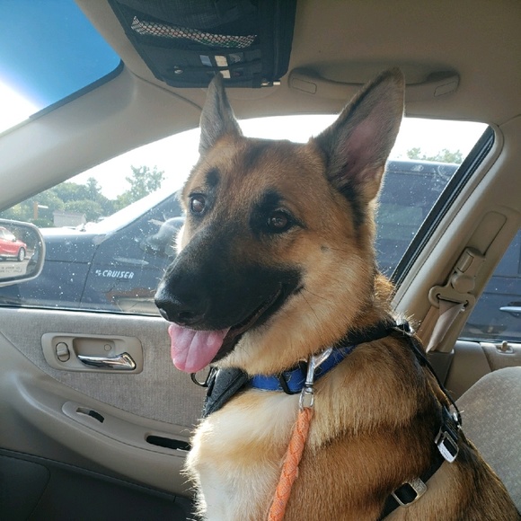 Meet your Posher, Mike - Picture 1 of 1